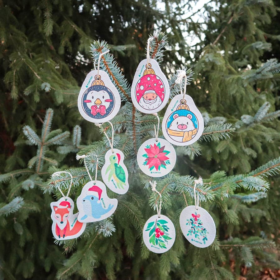 Zero Waste All in One Cleaning Set (Holiday Exclusive)