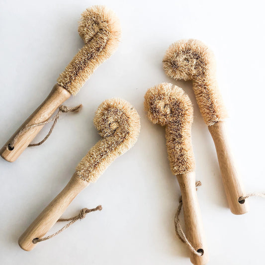 Natural Bamboo Coconut Glass Brush - Organic Plastic Free Biodegradable Coconut Kitchen Brush - Zero Waste Living