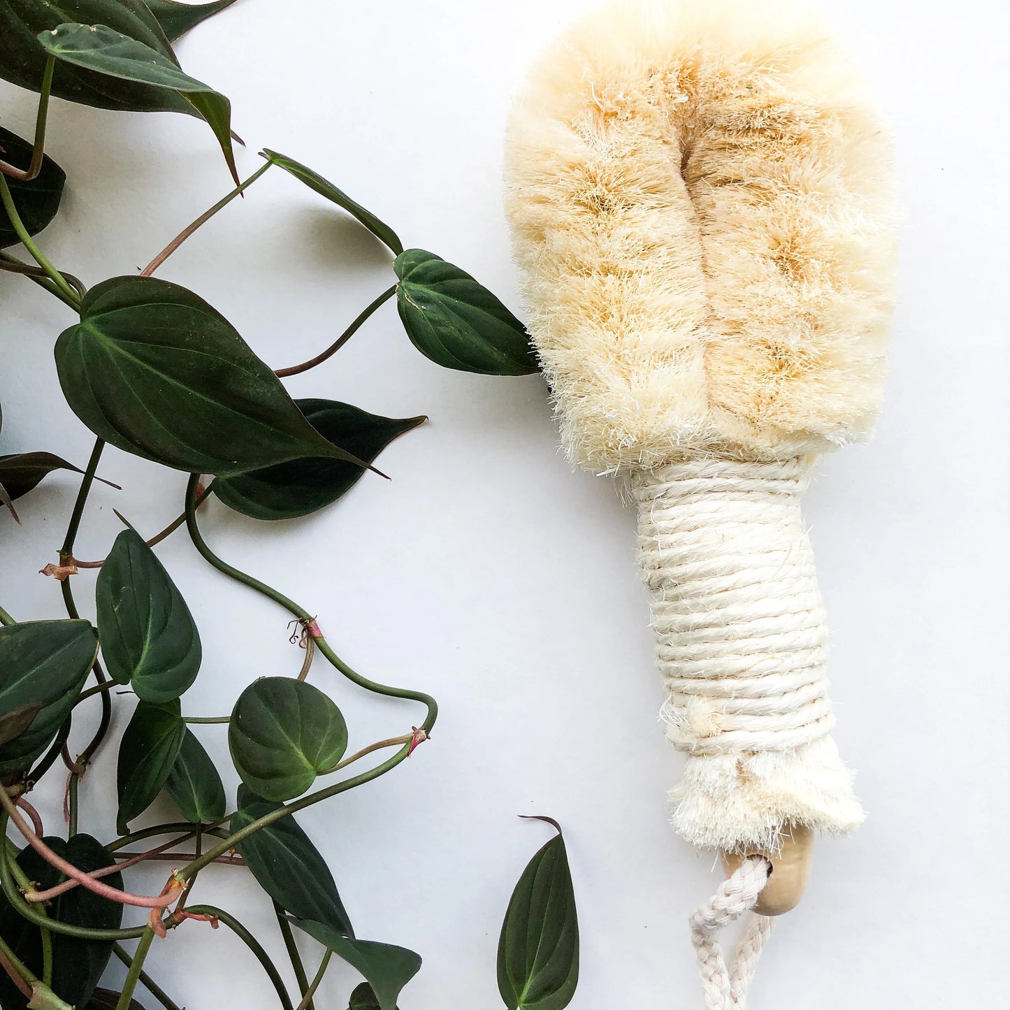 Natural Sisal Dry Brush - Sustainable Eco Friendly Vegan Body Brush - Zero Waste Plastic Free Exfoliating