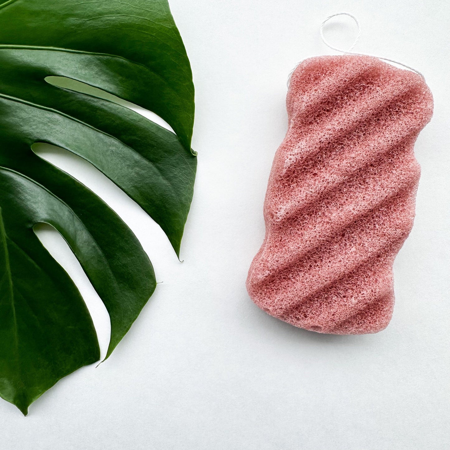 Natural Organic Konjac Body Sponge - Biodegradable Zero Waste Plastic Free Facial, Body & Bath Sponge - Sustainable Living and Bathroom